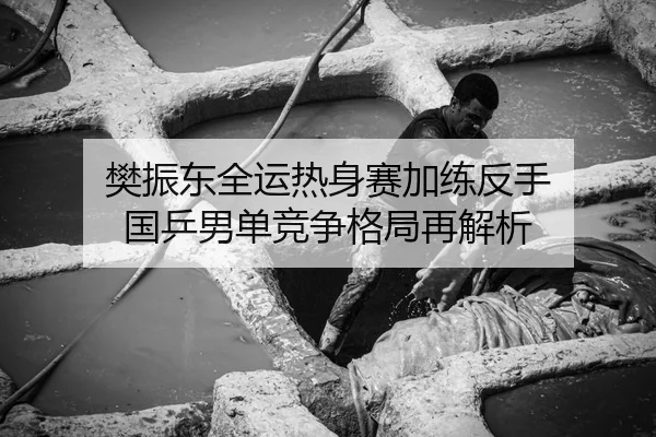 樊振东全运热身赛加练反手 国乒男单竞争格局再解析